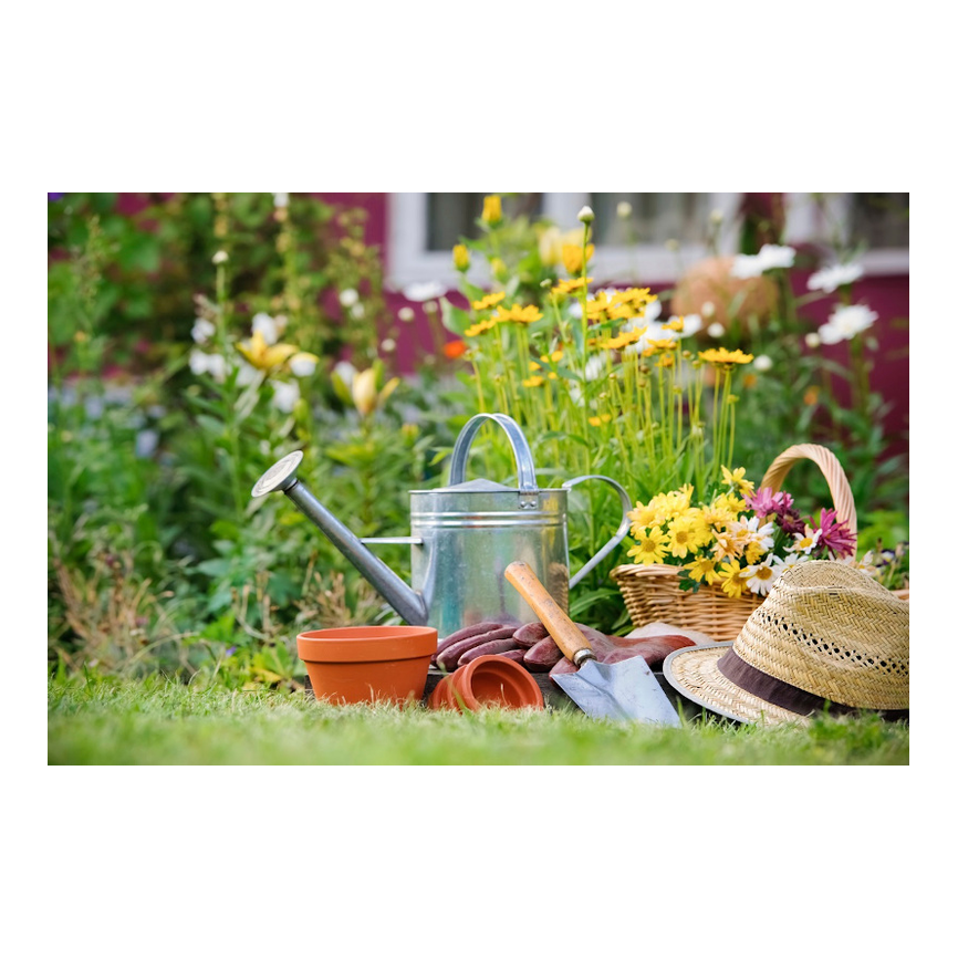 MAGATZEM ES COCÓ - JARDINERIA - CAJA DE MADERA [FRUTA] - MAGATZEM